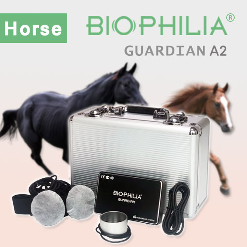 Biophilia Guardian A2 Horese NLS Bioresonance Machine