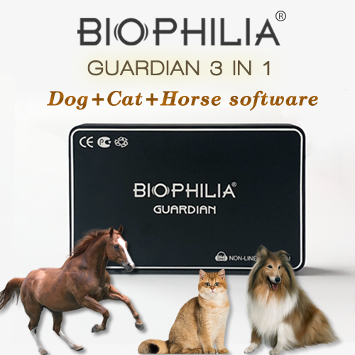 Il dispositivo Biophilia Guardian A3 presta attenzione alla salute dei gatti